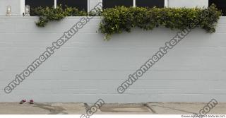 wall bricks painted